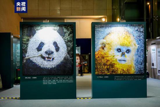 大熊猫国家公园自然教育计划“<em>双宝</em>溯源行动”正式启动