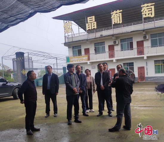 四川省农业农村厅领导到岳池县调研农产品质量监管工作