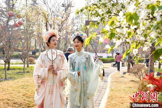 第十届中国（鹤壁）樱花季启幕 丰富活动促文旅融合