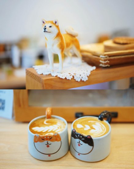 漫步苏州：苏州探店｜一家可以撸狗的咖啡店