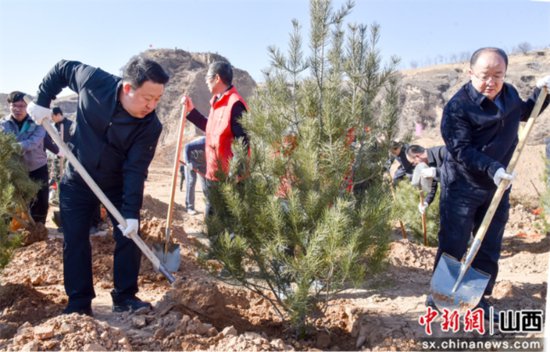 临县600余名机关干部和社会各界人士参加义务植树活动