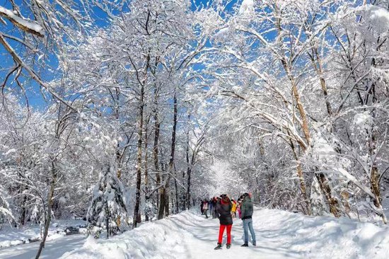 这个冬天，来吉林白山尽情享受冰雪假期