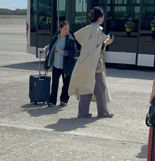 53岁王菲打扮土气现身机场，小腹凸起引热议，网友：不会<em>怀孕</em>了...