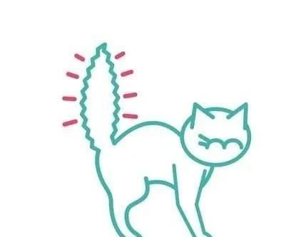 九张图告诉你猫咪尾巴动作代表<em>什么意思</em>