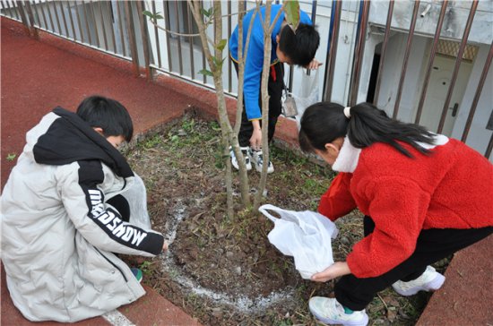 兴山：高桥红军小学积极开展植树节主题教育活动