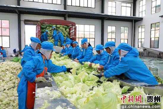贵州黎平：脱水<em>蔬菜加工</em>忙 带动就业促增收