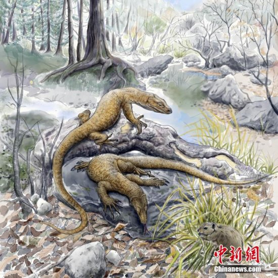中国最新研究发现5200多万年前始祖<em>巨蜥</em>化石 实证<em>巨蜥</em>亚洲起源