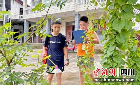 四川广元一山村小学引来18名城里孩子“蹭课”过暑假