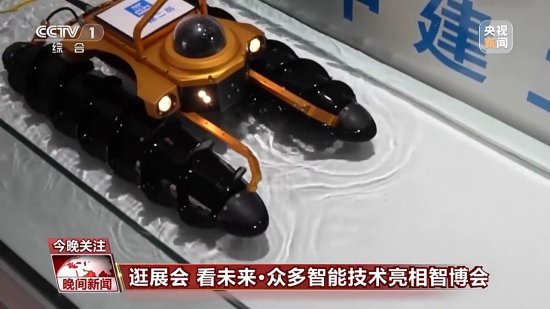 看“浮水机器人”大显身手 众多智能技术亮相智博会