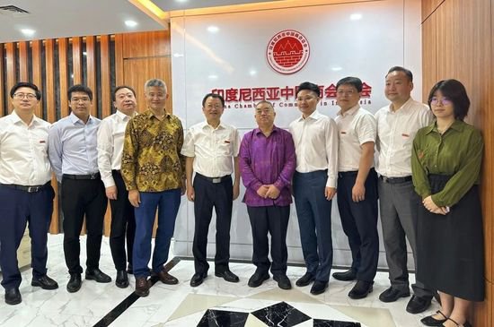 中南大学校党委书记易红率团访问印度尼西亚