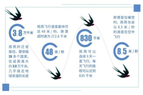 国际爱鸟日｜有多少北京鸟儿今天过节？