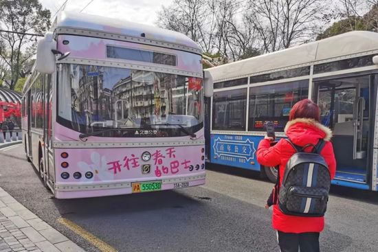 粉粉嫩嫩的！公交20路推出的限定涂装车，好有“春天感”！