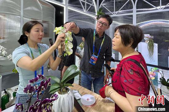 <em>台湾</em>花卉业者参加成都世园会 盼增加两岸产业合作