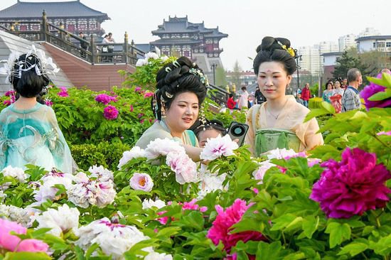 牡丹绽放洛阳城 游客身着汉服赏花
