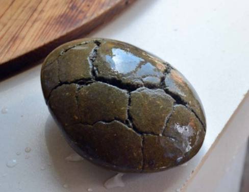 男子捡到一块有趣的石头，细看是个缩头<em>乌龟</em>！高价也不卖