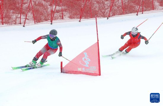 自由式滑雪——公开组女子障碍追逐赛况