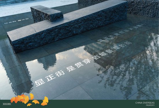 540岁汉阳树焕新家！武汉城市历史“博物馆”开放！