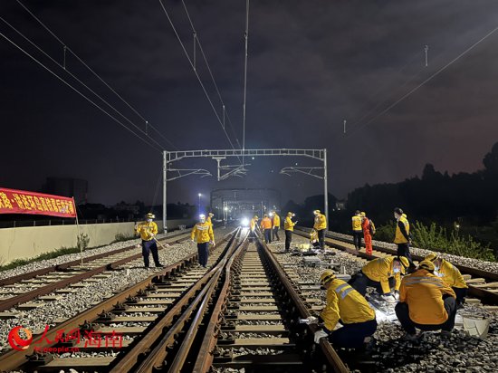 海南环岛高铁有群昼伏夜出的“小黄人” 为铁路“治病疗伤”