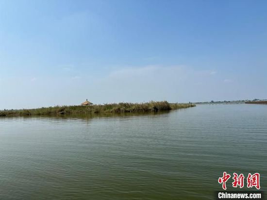 （高质量发展调研行）陕西渭南聚焦黄河流域生态保护
