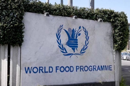 联合国世界粮食计划署：<em>海地</em>“濒临毁灭性的饥饿危机”