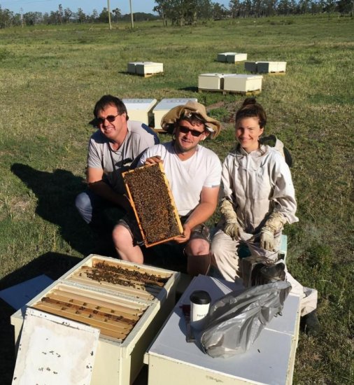 专访澳康蜜养蜂人：麦卢卡蜂蜜的<em>神奇之处</em>源自哪里？