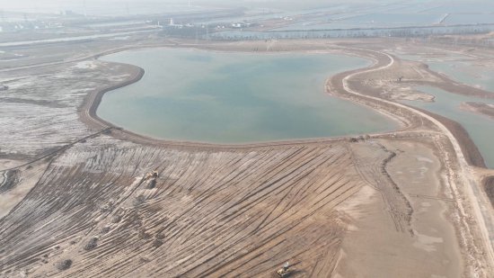 江苏东台：修复近2万亩湿地，为万千鸟儿筑<em>安乐窝</em>