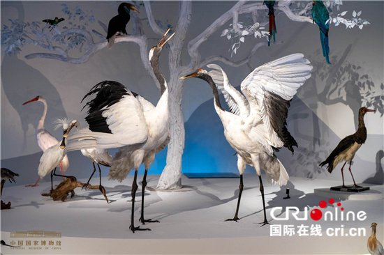 中国国家博物馆首个自然生态<em>类</em>展览展现<em>生物</em>多样之美