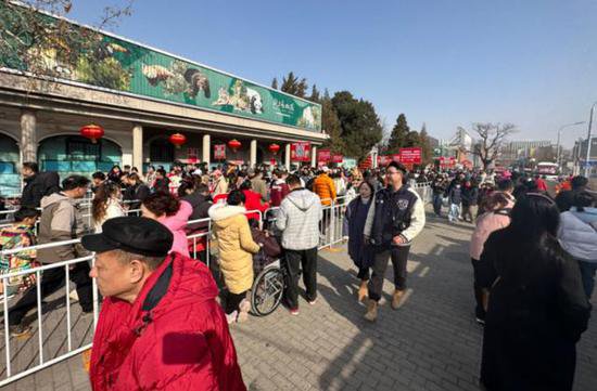 排队<em>看熊猫</em>、买龙年文创……北京动物园人气不减
