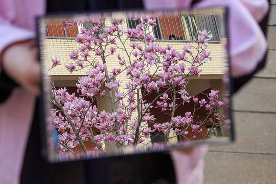 春日正新！ 武汉纺织大学外经贸学院邀你共赏校园好风光！