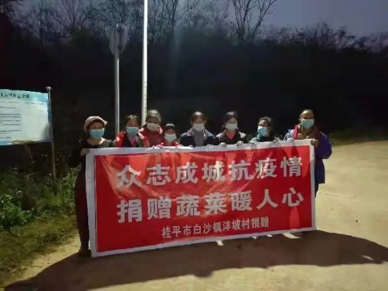 洋坡村妇女支援德保战“疫”
