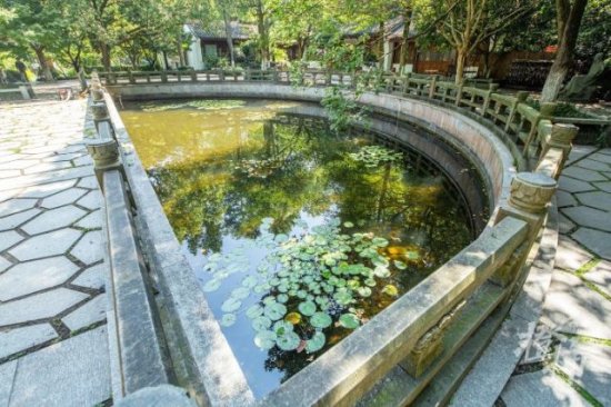 杭州Discovery丨西湖畔，万松书院旁边有一条隐秘<em>又浪漫的</em>“白蛇...