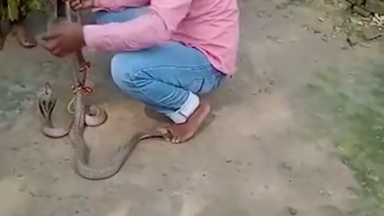 一命呜呼！印度25岁耍蛇人<em>被蛇咬</em>到<em>脚</em>死亡