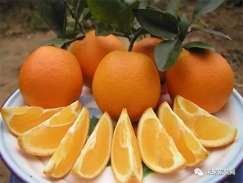 橙子学会怎么切，流出少量汁水，<em>方法简单</em>又方便