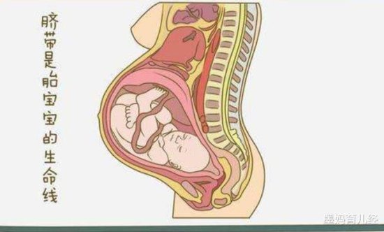 <em>脐带绕颈</em>危害大，孕期胎儿的脐带<em>最容易</em>出现这些问题，<em>孕</em>妈妈需...