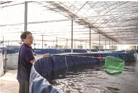 全省最大规模高密度循环水养殖基地 一“桶”可养1500公斤鱼