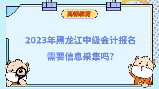 2023年黑龙江中级<em>会计</em>报名<em>信息</em>采集_高顿教育