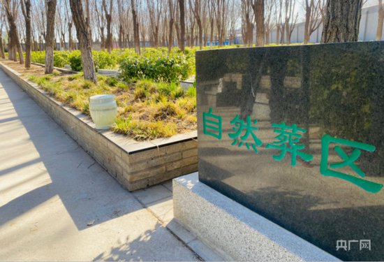 北京大兴区节地生态安葬设施14镇全覆盖