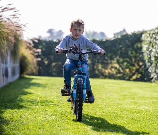 全球第一2至14岁辐轮王土拨<em>鼠儿童</em>自行车哪个牌子好耐用质量好
