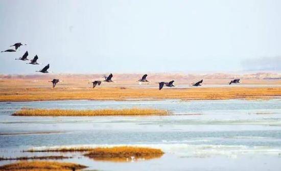 《人民日报》点赞吉林多种措施保护湿地生态