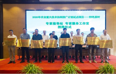 创新实践培训方式 江苏全省茶叶绿色生产技术培训班在宜兴召开