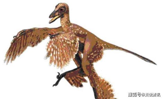 科学家研究发现，<em>恐龙</em>极有可能进化成为<em>现代的</em>家禽！