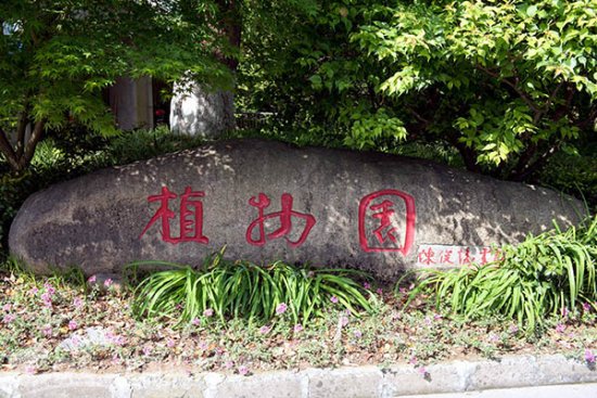 拥有植物3200种 吸引鸟类400种入驻 浙江农林大学居中国大学...