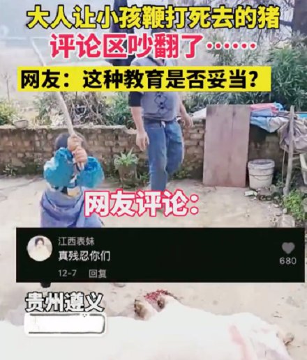 贵州：农村一家长让<em>孩子</em>鞭打死去的<em>猪</em>，网友却对此行为发出质疑