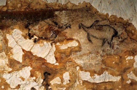 37米深海底洞内却有2万年前的壁画！<em>原始人怎么</em>画的？
