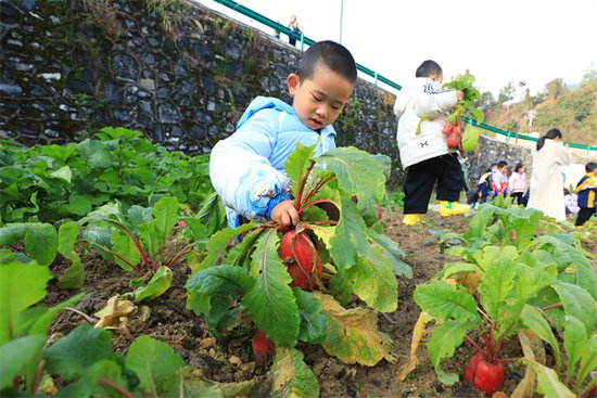 贵州剑河：校园“小农夫”有了“开心农场”-新华网