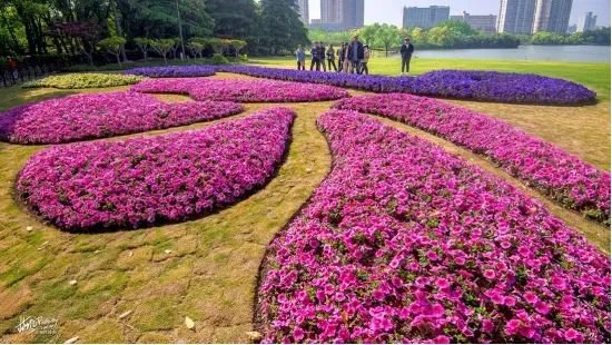 2023上海各公园花坛、花境<em>设计</em>出炉 喜欢<em>哪个</em>？