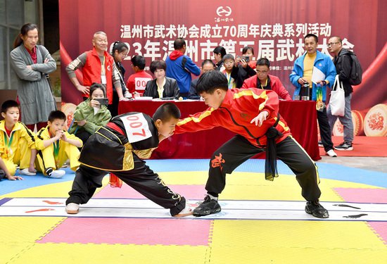2023年温州市第五届武林大会之“少儿打马拳比赛”隆重举行