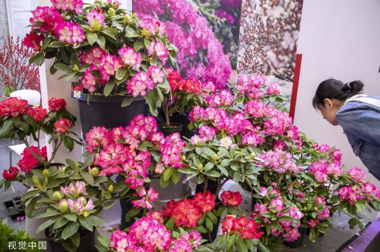 中国国际<em>花卉园艺</em>展览会在上海举行