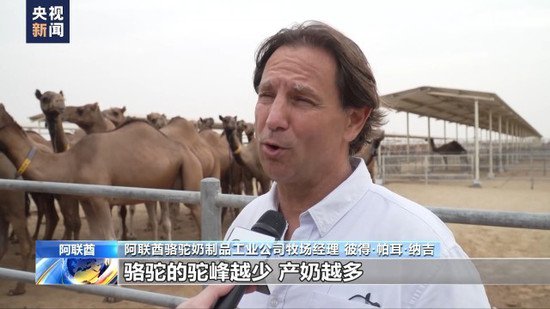 中国<em>大</em>市场 世界<em>大</em>机遇丨沿着“一带一路”而来 骆驼奶是如何炼成...
