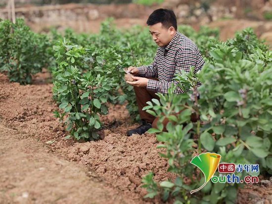 志愿者王洋：扎根江津18年的“农村土肥专家”